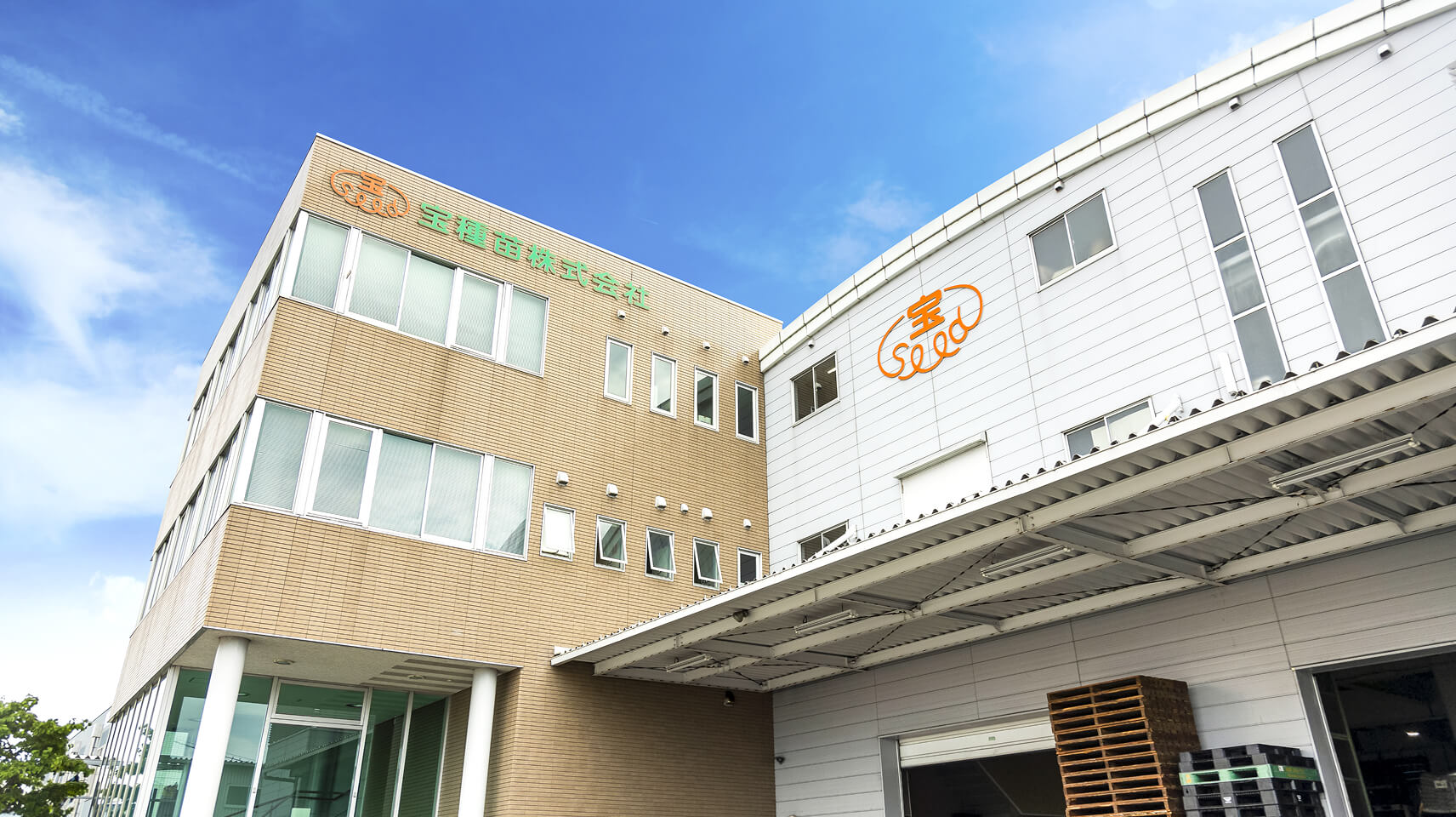 会社情報