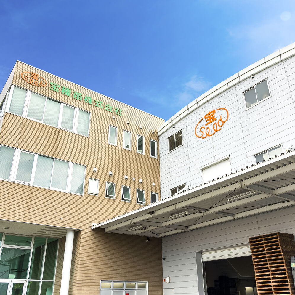 会社情報