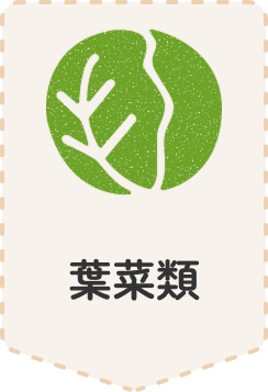 葉菜類