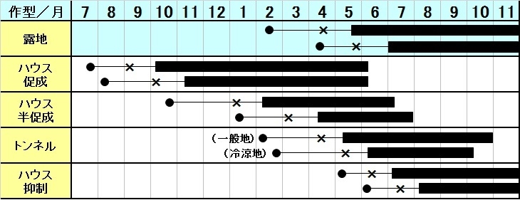 栽培型