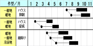 栽培型